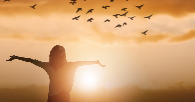 SoulBody Services
